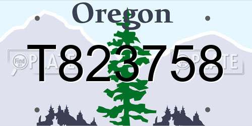 T823758 Oregon License Plate