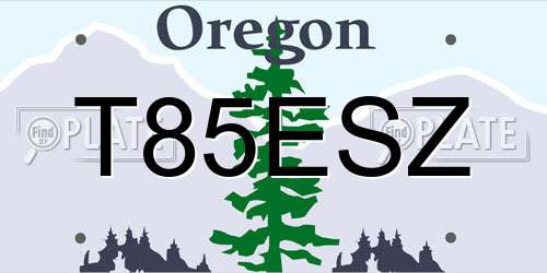 T85ESZ Oregon License Plate