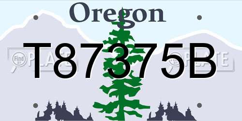 T87375B Oregon License Plate