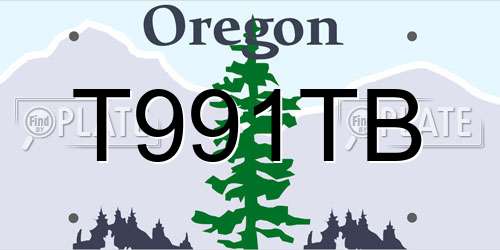 T991TB Oregon License Plate