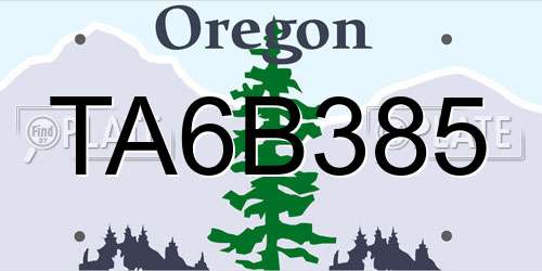 TA6B385 Oregon License Plate