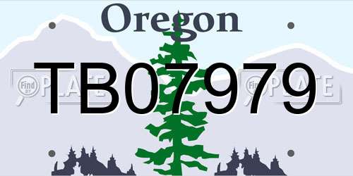 TB07979 Oregon License Plate