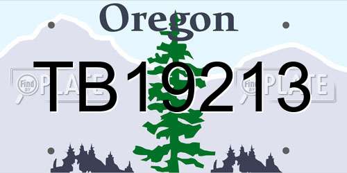 TB19213 Oregon License Plate