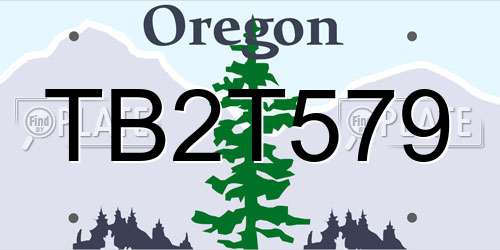 TB2T579 Oregon License Plate