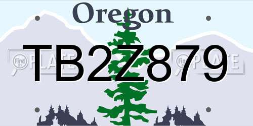 TB2Z879 Oregon License Plate
