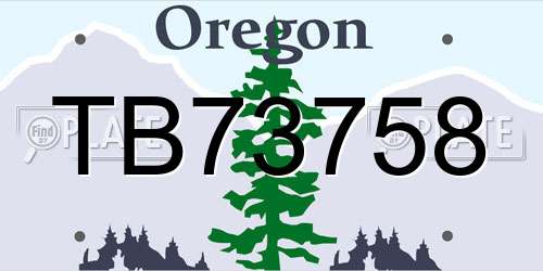 TB73758 Oregon License Plate