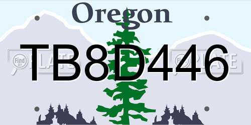 TB8D446 Oregon License Plate