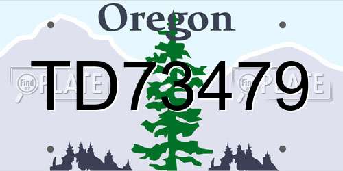 TD73479 Oregon License Plate
