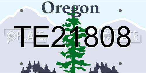 TE21808 Oregon License Plate