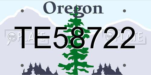 TE58722 Oregon License Plate