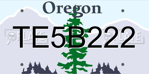 TE5B222 Oregon License Plate