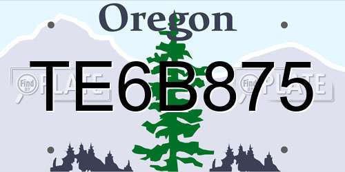 TE6B875 Oregon License Plate