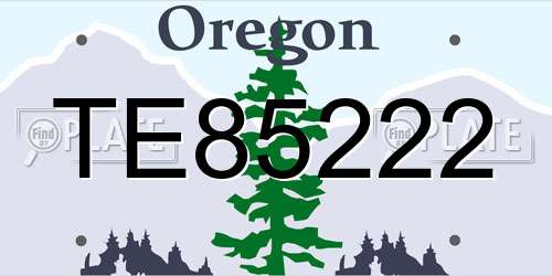 TE85222 Oregon License Plate