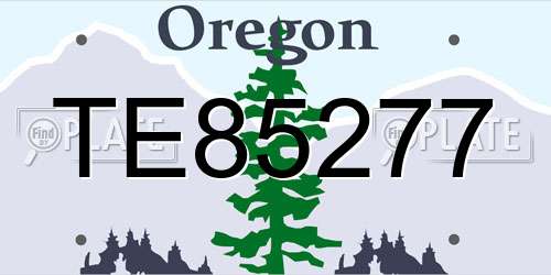 TE85277 Oregon License Plate
