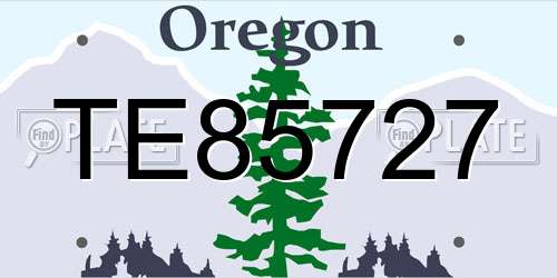 TE85727 Oregon License Plate