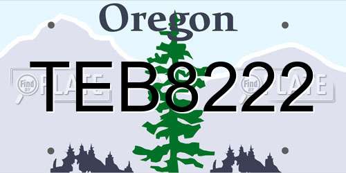 TEB8222 Oregon License Plate
