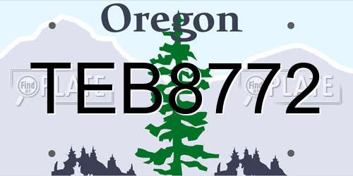 TEB8772 Oregon License Plate
