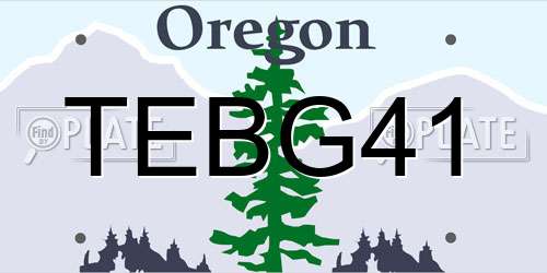 TEBG41 Oregon License Plate