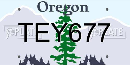 TEY677 Oregon License Plate