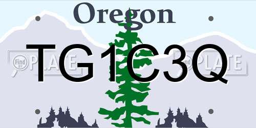 TG1C3Q Oregon License Plate