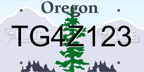 TG4Z123 Oregon License Plate