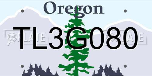 TL3G080 Oregon License Plate