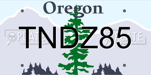 TNDZ85 Oregon License Plate