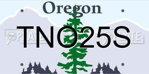 TNO25S Oregon License Plate