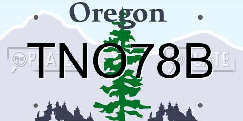 TNO78B Oregon License Plate