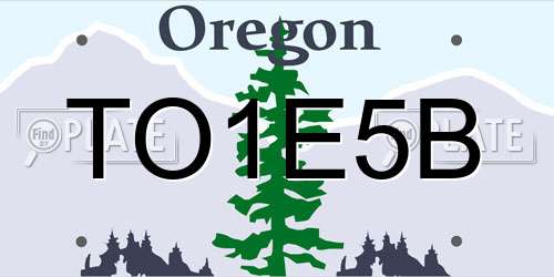 TO1E5B Oregon License Plate