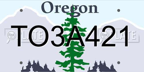 TO3A421 Oregon License Plate