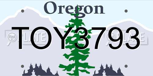 TOY3793 Oregon License Plate