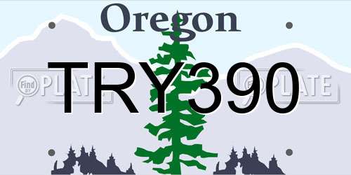 TRY390 Oregon License Plate