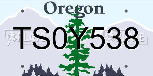 TS0Y538 Oregon License Plate