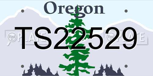 TS22529 Oregon License Plate