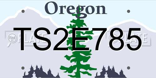 TS2E785 Oregon License Plate