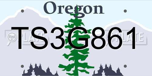 TS3G861 Oregon License Plate