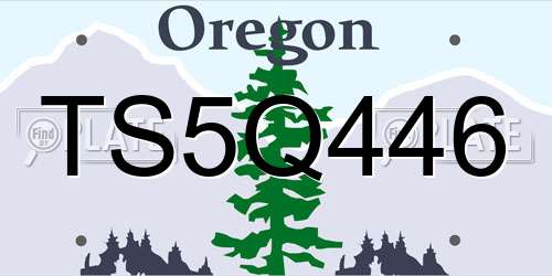 TS5Q446 Oregon License Plate