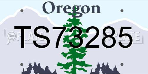TS73285 Oregon License Plate