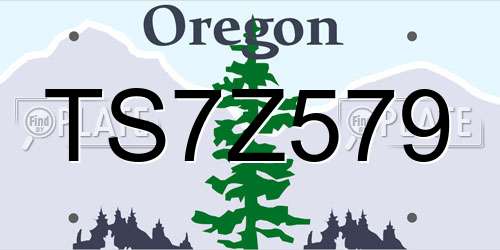 TS7Z579 Oregon License Plate