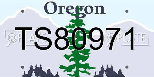 TS80971 Oregon License Plate