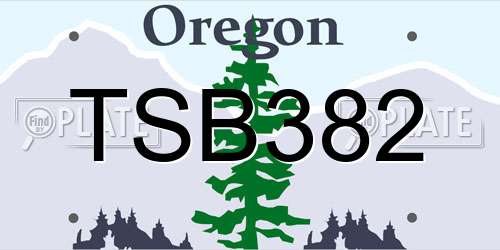 TSB382 Oregon License Plate