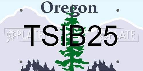 TSIB25 Oregon License Plate