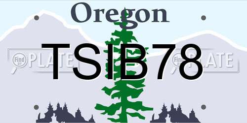 TSIB78 Oregon License Plate
