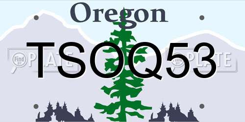 TSOQ53 Oregon License Plate