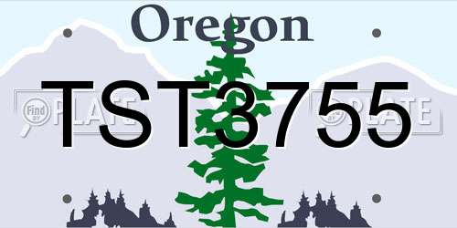 TST3755 Oregon License Plate