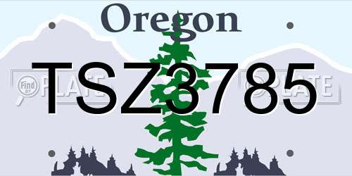 TSZ3785 Oregon License Plate