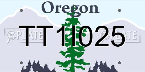 TT1I025 Oregon License Plate