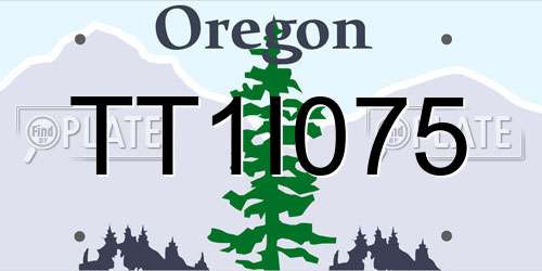 TT1I075 Oregon License Plate