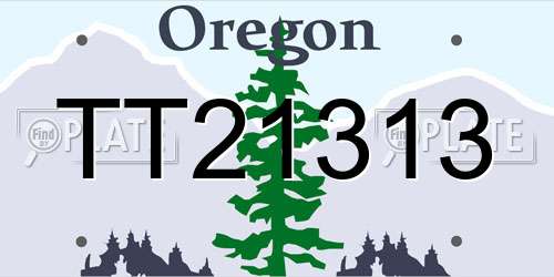 TT21313 Oregon License Plate